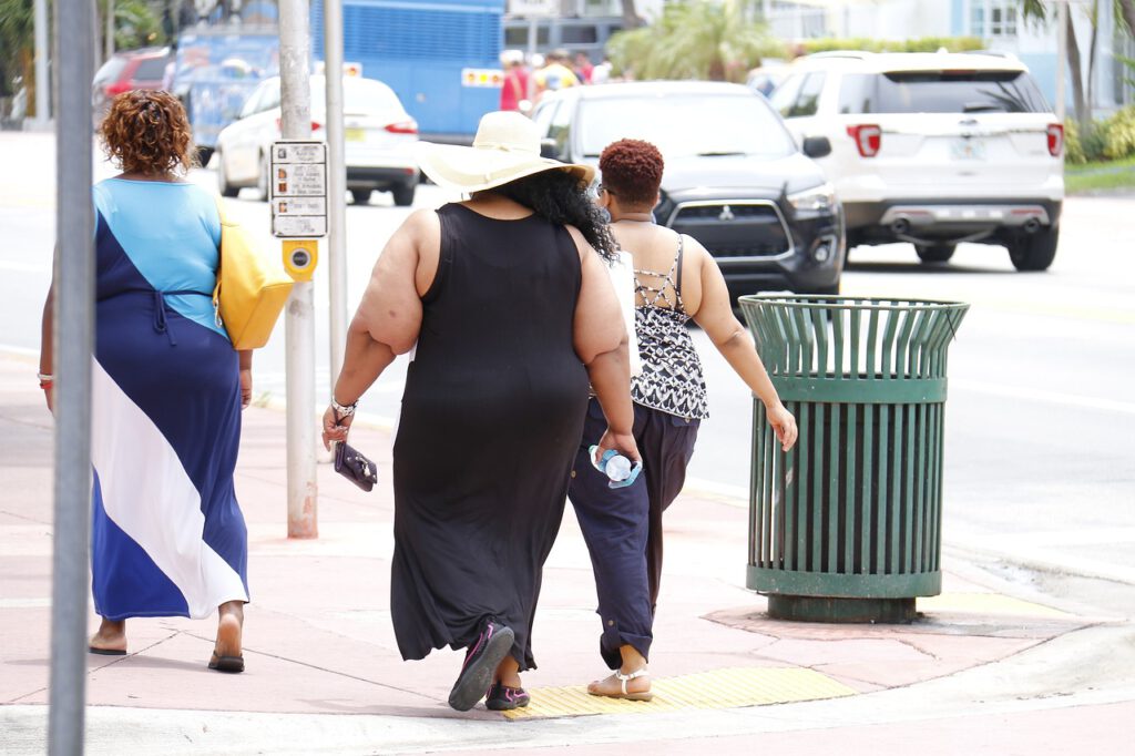 Landscape of Obesity